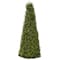 3t. Pre-Lit Boxwood Cone Artificial Christmas Tree, Clear Lights